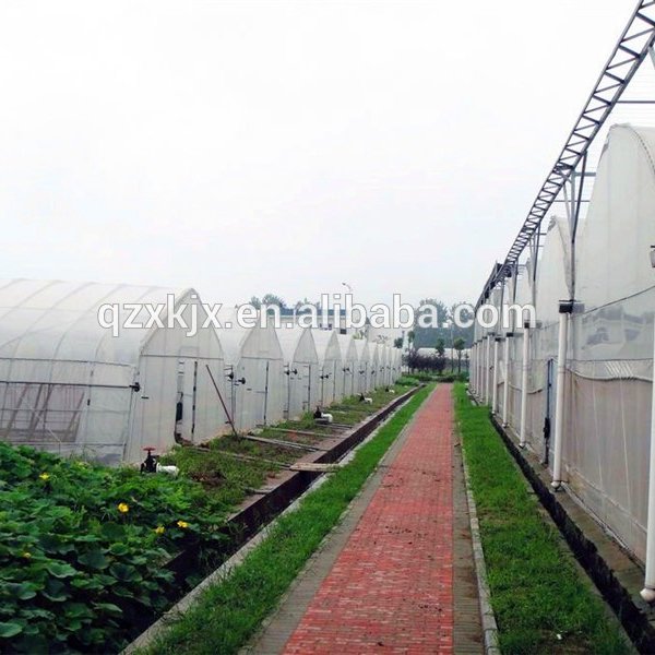 Multi span Agricultural greenhouse with Plastic film cover For vegetable and fruits on hot sale