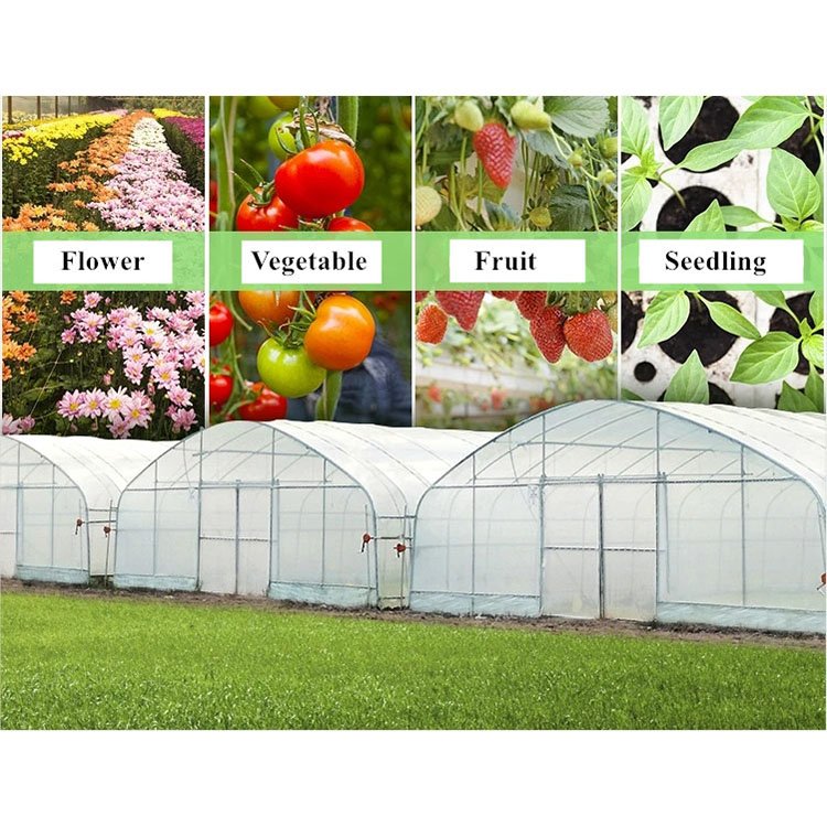 Single Span Greenhouse Commercial Greenhouse Cost Agricultural Green Houses Kits Polycarbonate Greenhouses