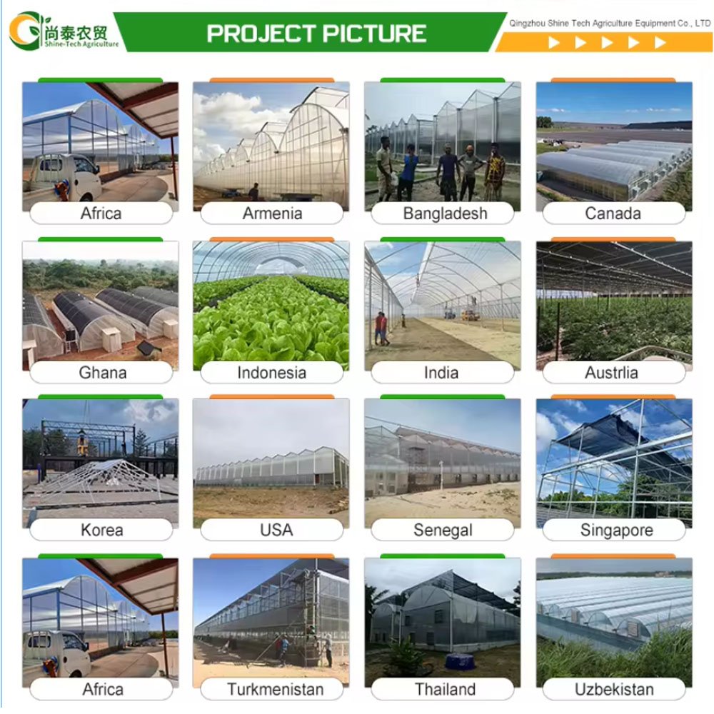 Single Span Greenhouse Commercial Greenhouse Cost Agricultural Green Houses Kits Polycarbonate Greenhouses