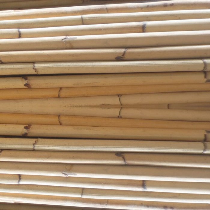 Singapore Best Offered 3m and 4m Bamboo Root Cane Rattan Material for Furniture and Handicrafts Agricultural Greenhouses