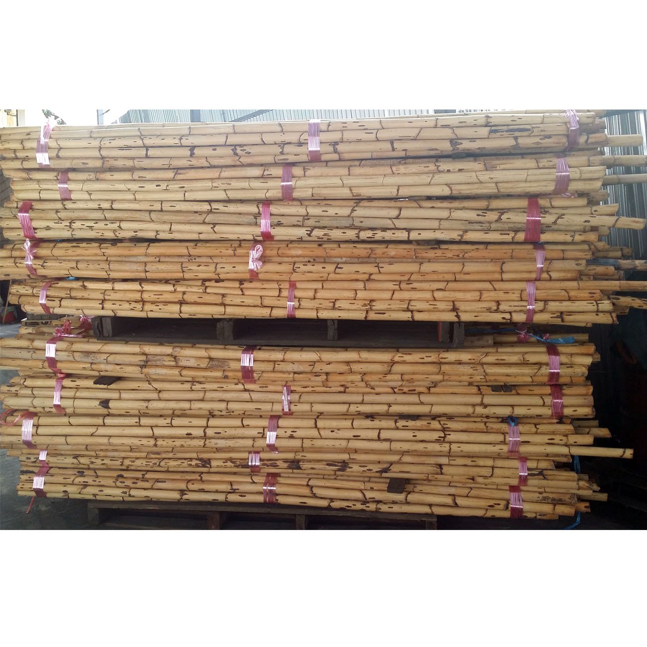 Singapore Best Offered 3m and 4m Bamboo Root Cane Rattan Material for Furniture and Handicrafts Agricultural Greenhouses