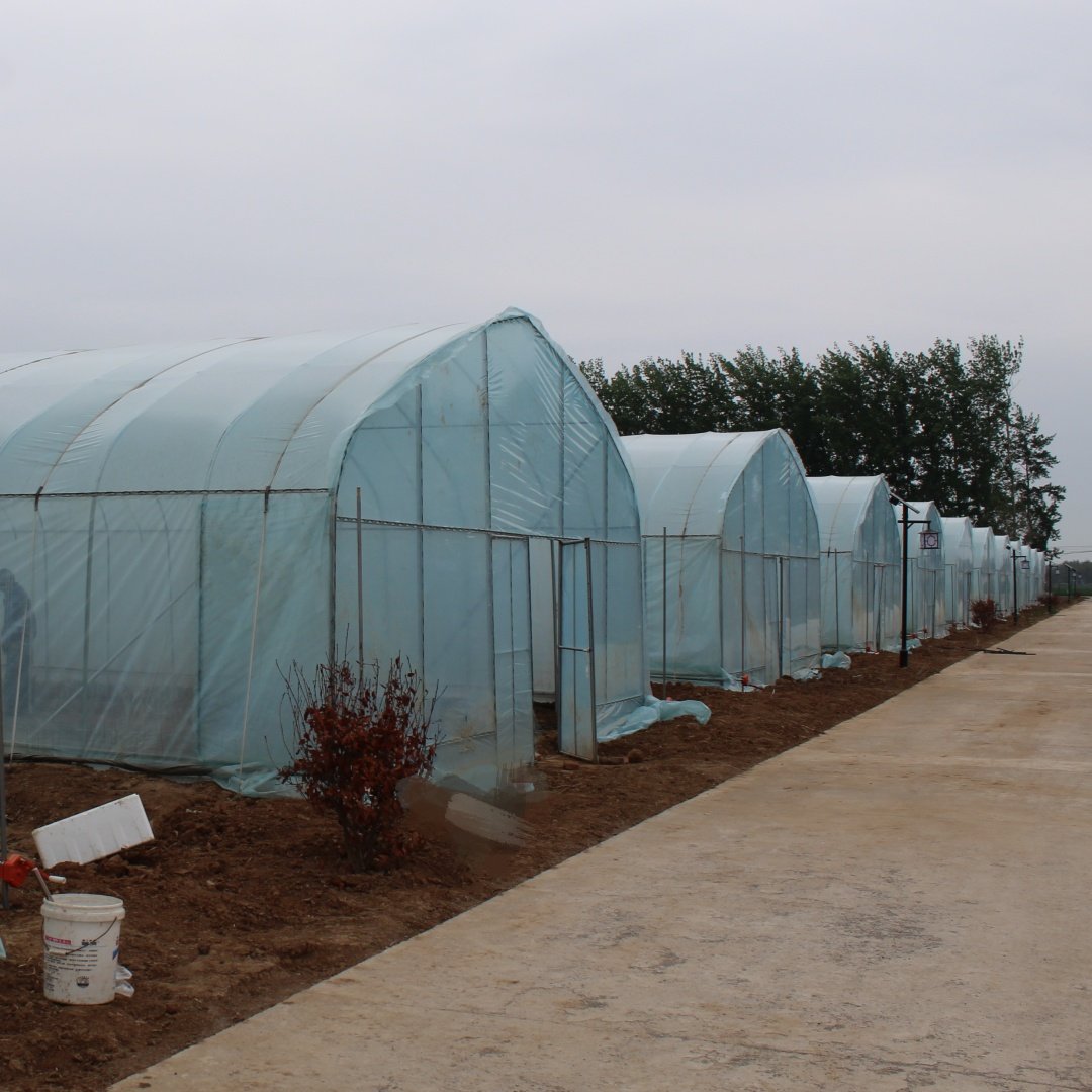 1 set 8x30m 32mm Round Pipe PO Film Plastic Green House Single Tunnel Agricultural Greenhouse Hoop House