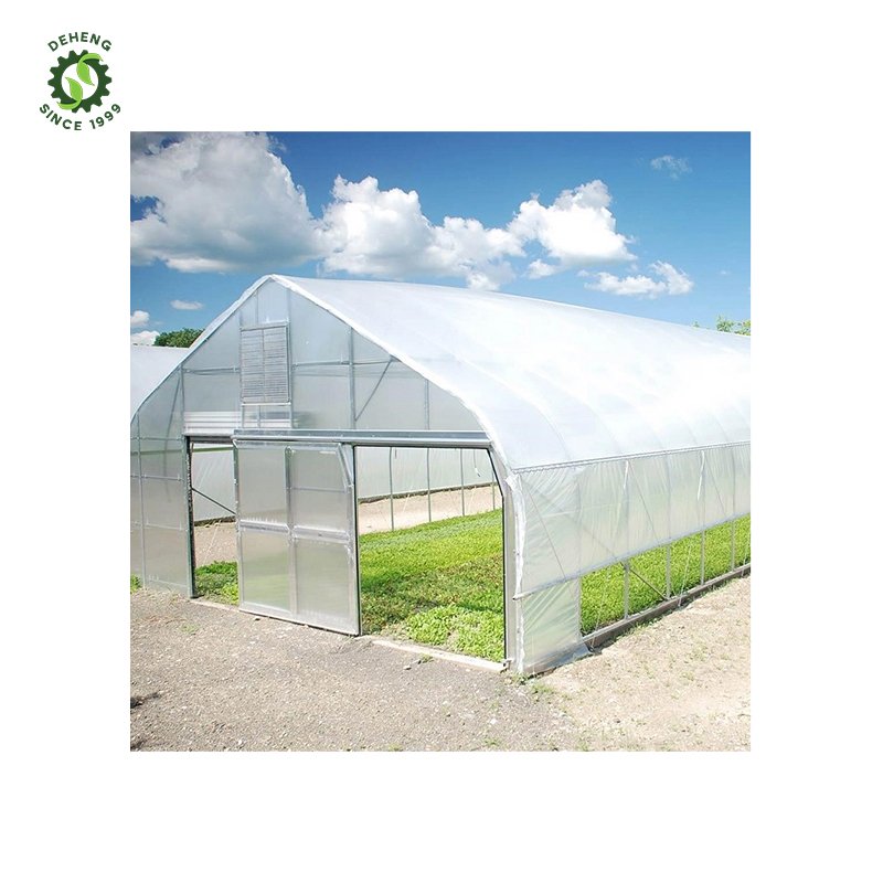 Good Quality New Arrivals Agricultural Greenhouse Tunnel Single-Span Tunnel Greenhouse For Vegetables Growing