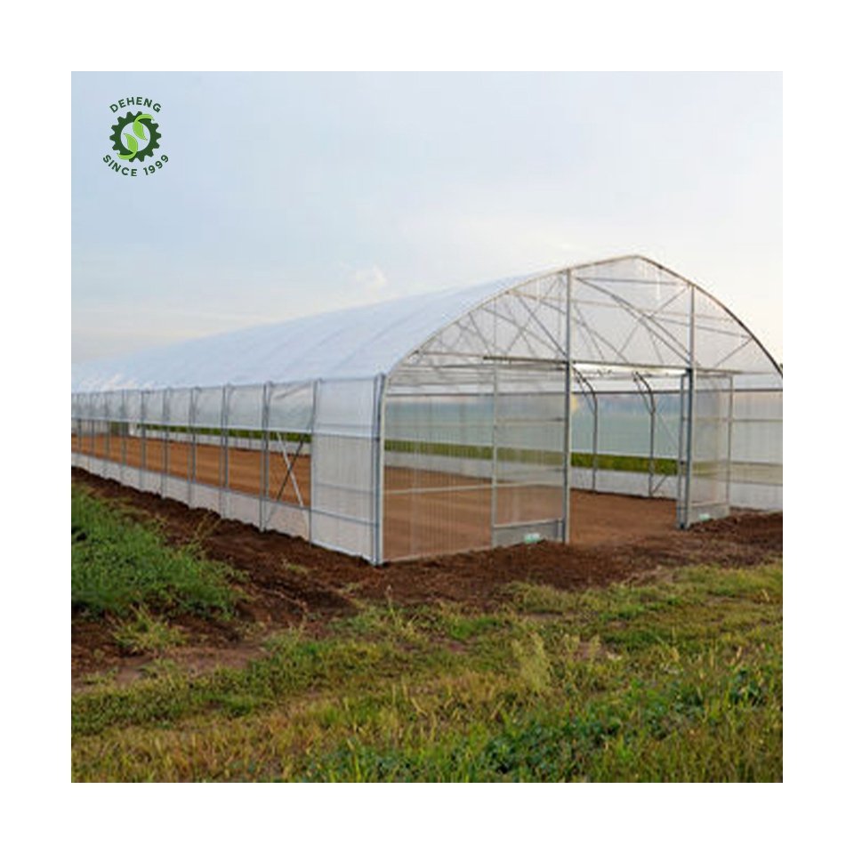Good Quality New Arrivals Agricultural Greenhouse Tunnel Single-Span Tunnel Greenhouse For Vegetables Growing