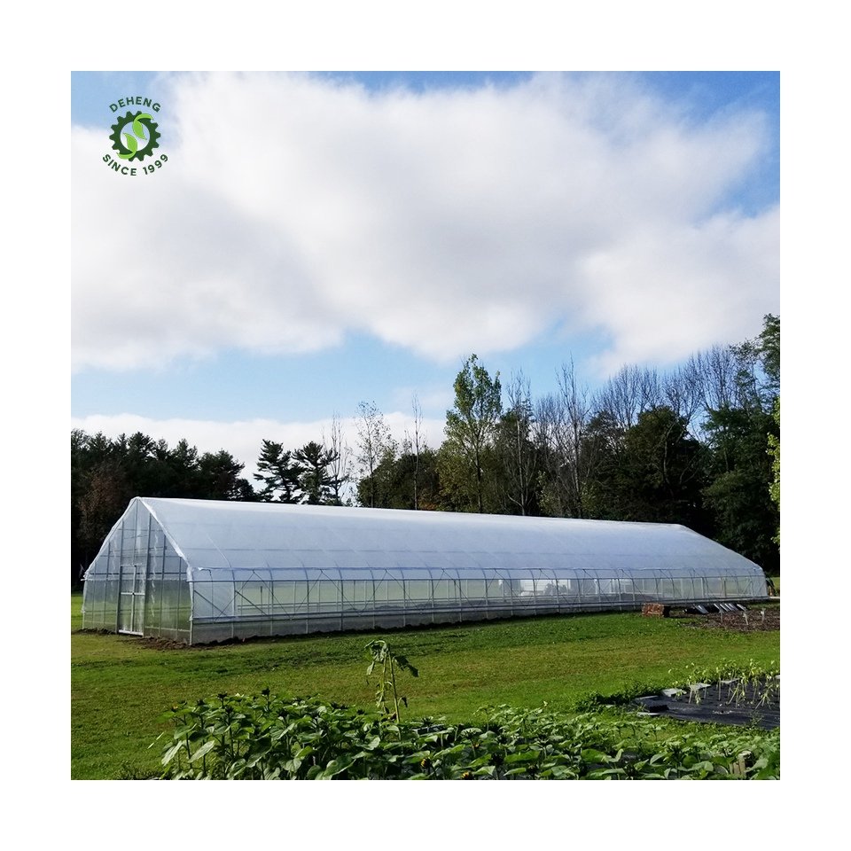 Good Quality New Arrivals Agricultural Greenhouse Tunnel Single-Span Tunnel Greenhouse For Vegetables Growing