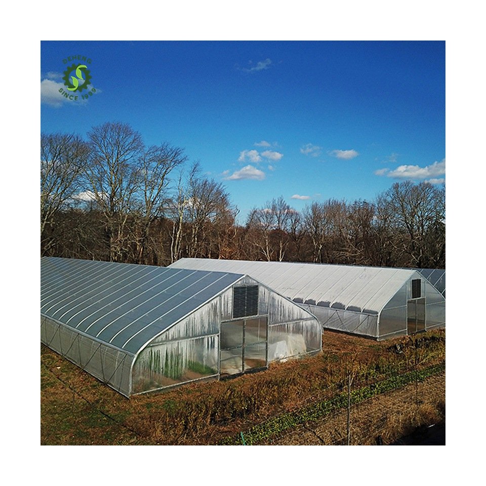 Good Quality New Arrivals Agricultural Greenhouse Tunnel Single-Span Tunnel Greenhouse For Vegetables Growing