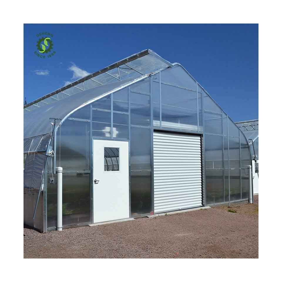 Good Quality New Arrivals Agricultural Greenhouse Tunnel Single-Span Tunnel Greenhouse For Vegetables Growing