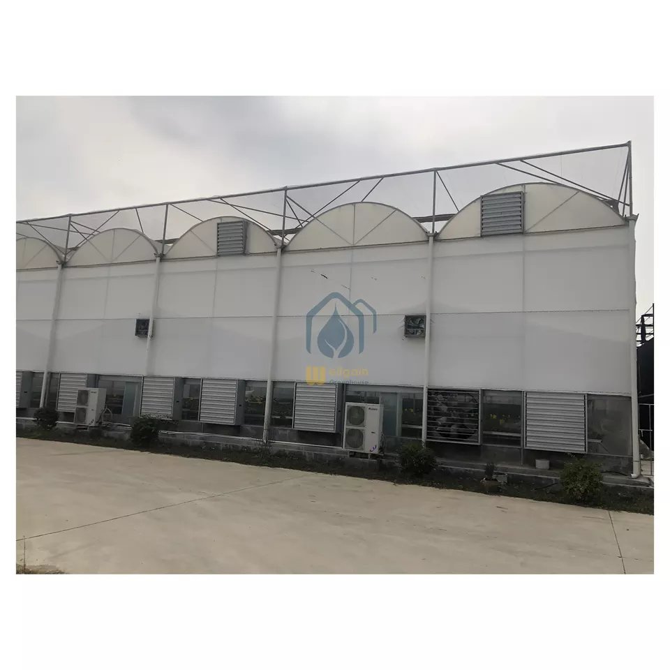 Commercial agricultural, multi-span greenhouse with hydroponic system,agricultural greenhouse for tomato