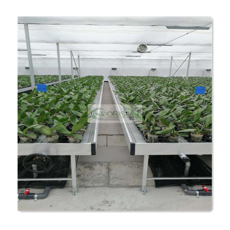 Vertical Multi Level Ebb And Flow Rolling Bench Movable Growing Table For Agricultural Plants In Greenhouse