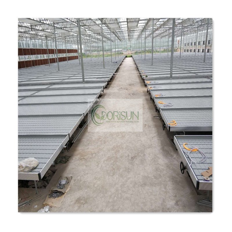 Vertical Multi Level Ebb And Flow Rolling Bench Movable Growing Table For Agricultural Plants In Greenhouse