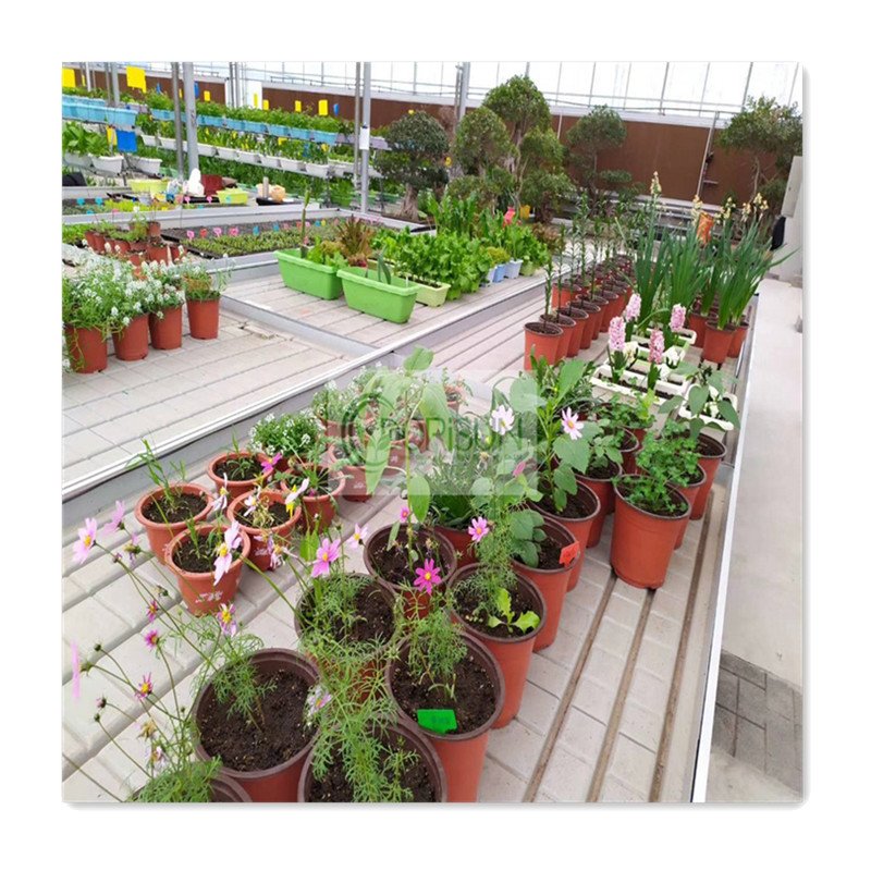 Vertical Multi Level Ebb And Flow Rolling Bench Movable Growing Table For Agricultural Plants In Greenhouse