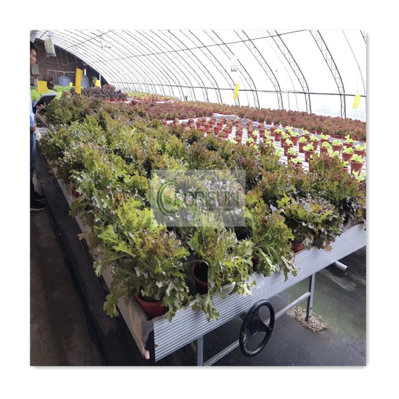 Vertical Multi Level Ebb And Flow Rolling Bench Movable Growing Table For Agricultural Plants In Greenhouse