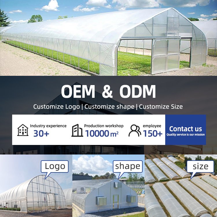 plant farm vegetable film smart tunnels greenhouse metal frame devices outdoor single-span Agricultural Greenhouses Tent
