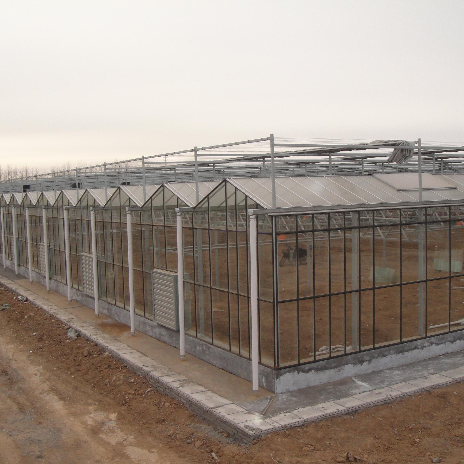 Best Commercial Agriculture Glass Greenhouse Manufacturer For Sale Australia