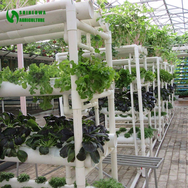 NFT Round Pipe Hydroponics System Vertical Hydroponics System For Agricultural Greenhouse