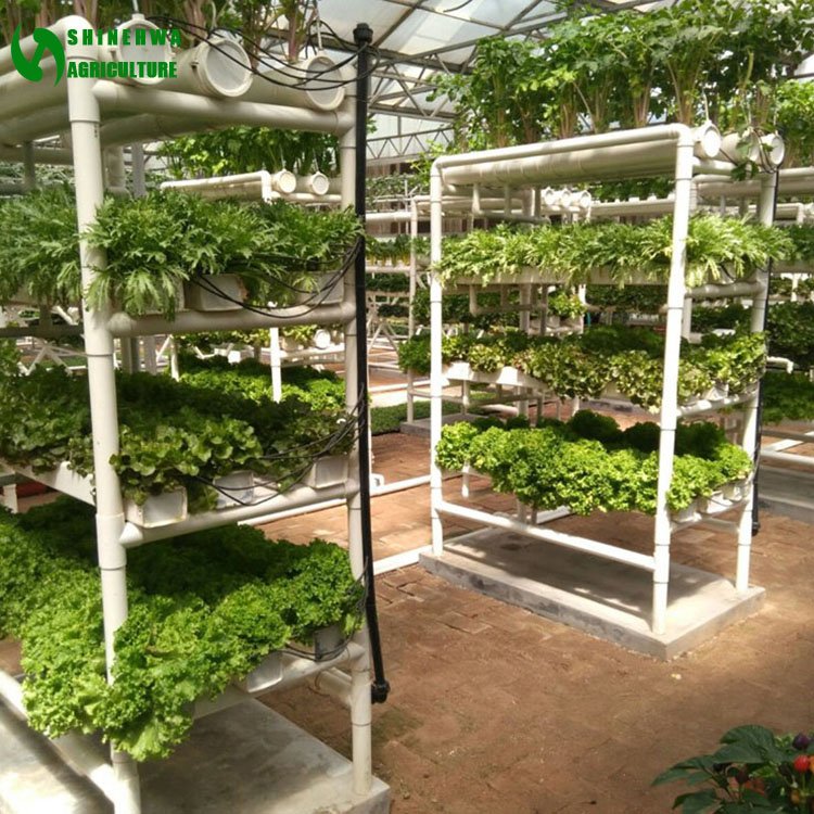 NFT Round Pipe Hydroponics System Vertical Hydroponics System For Agricultural Greenhouse