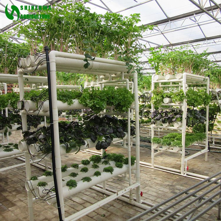 NFT Round Pipe Hydroponics System Vertical Hydroponics System For Agricultural Greenhouse