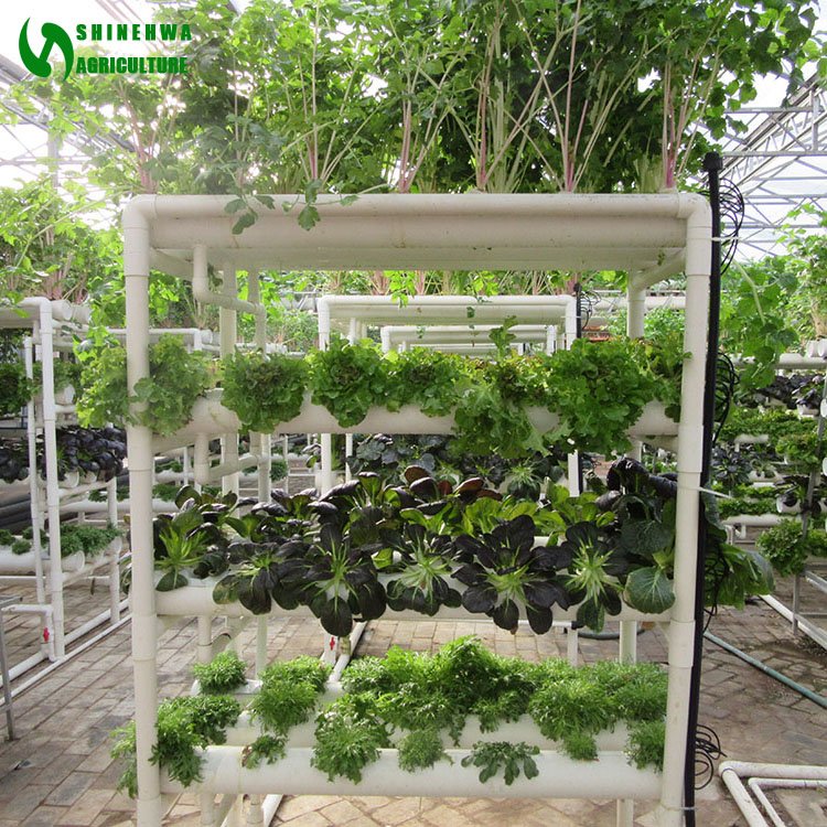 NFT Round Pipe Hydroponics System Vertical Hydroponics System For Agricultural Greenhouse