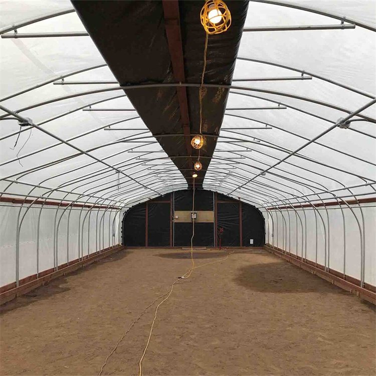 Baolida Cheap medical herbs hemp growing black film large light deprivation blackout greenhouse