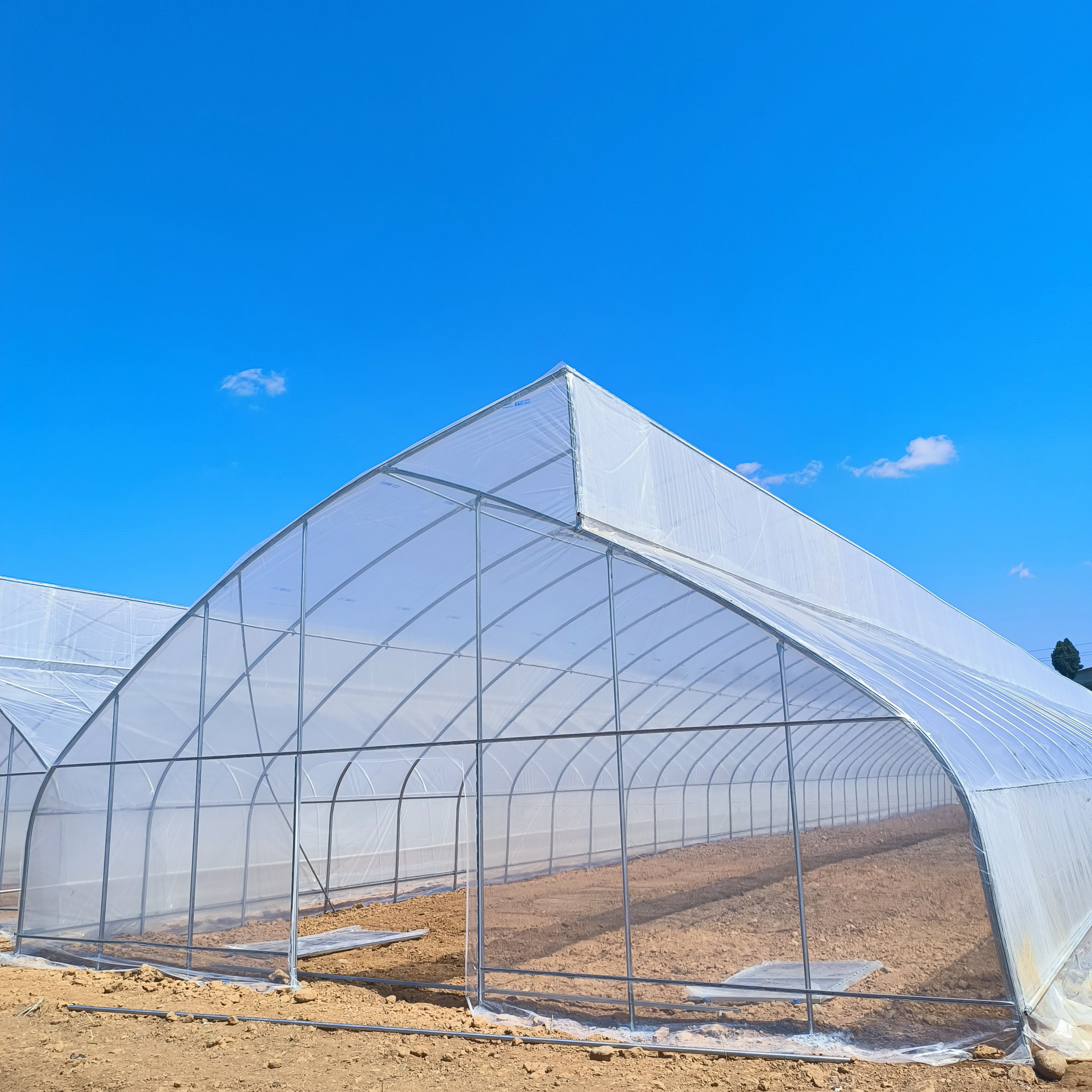Commercial Galvanized Steel Sawtooth Tropical Plastic Film Single-span Greenhouse Drying Room For Flowers