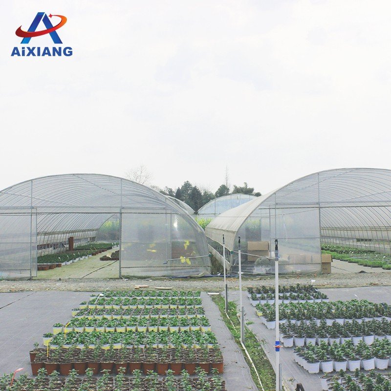 Commercial Galvanized Steel Sawtooth Tropical Plastic Film Single-span Greenhouse Drying Room For Flowers