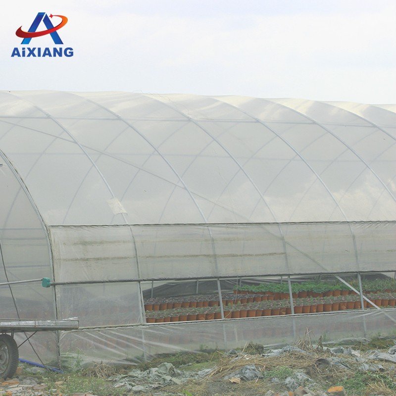 Commercial Galvanized Steel Sawtooth Tropical Plastic Film Single-span Greenhouse Drying Room For Flowers