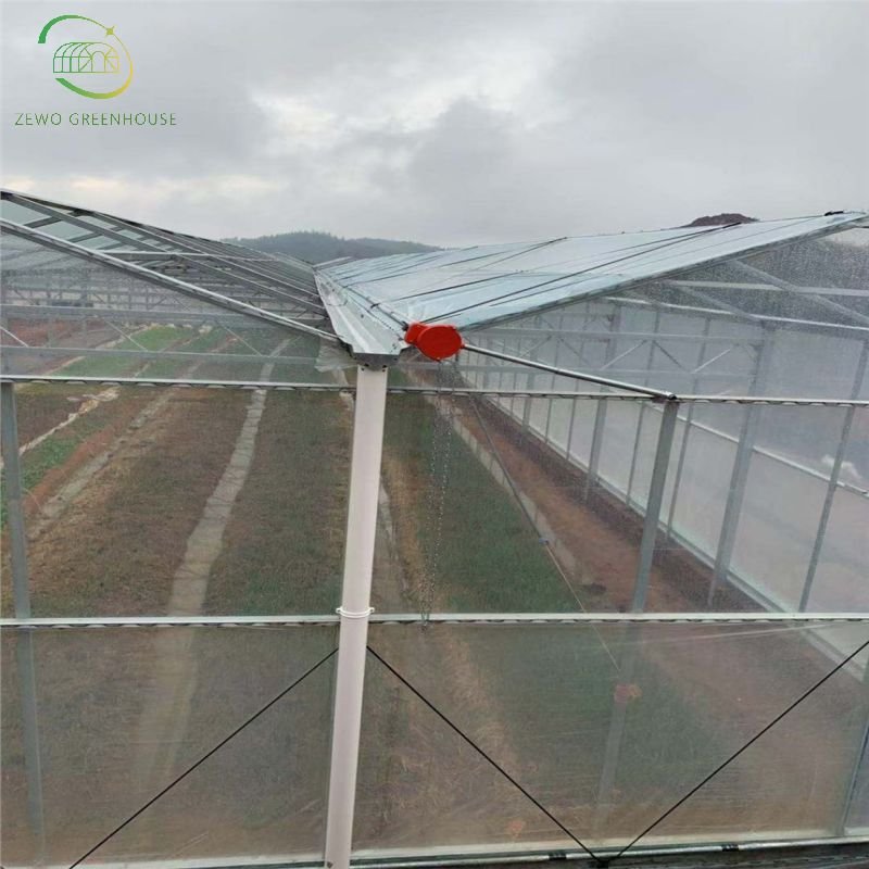 ZEWO Multi Span Plastic Film Poly Tunnel Film Greenhouses with Spray/Drip Irrigation System