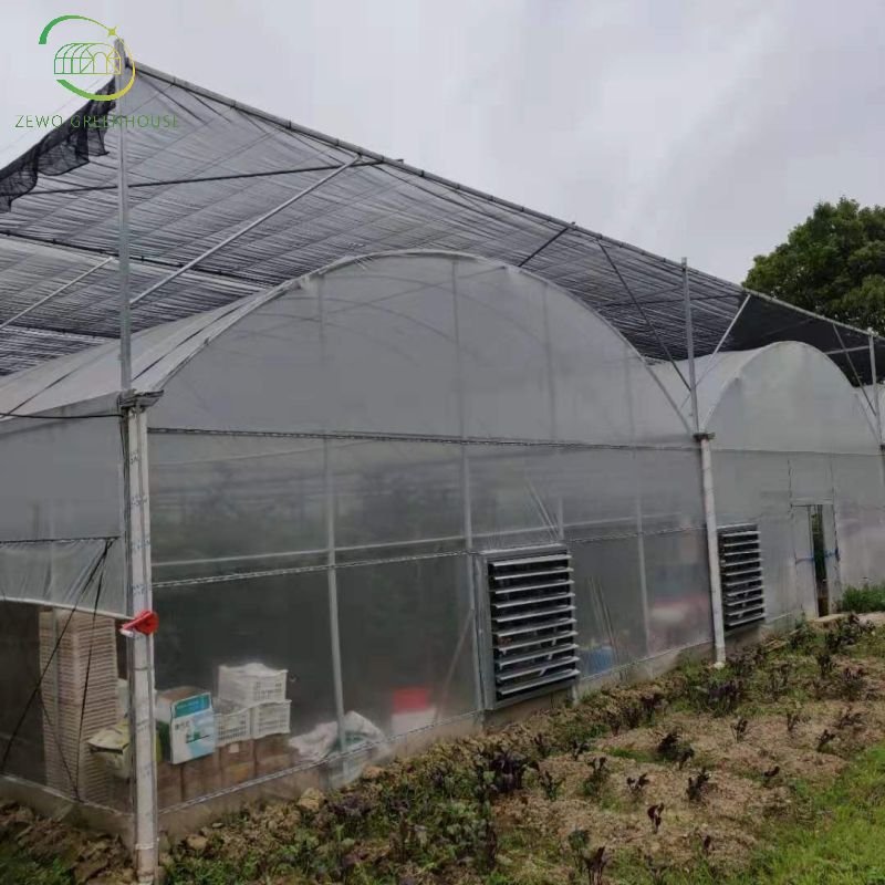 ZEWO Multi Span Plastic Film Poly Tunnel Film Greenhouses with Spray/Drip Irrigation System