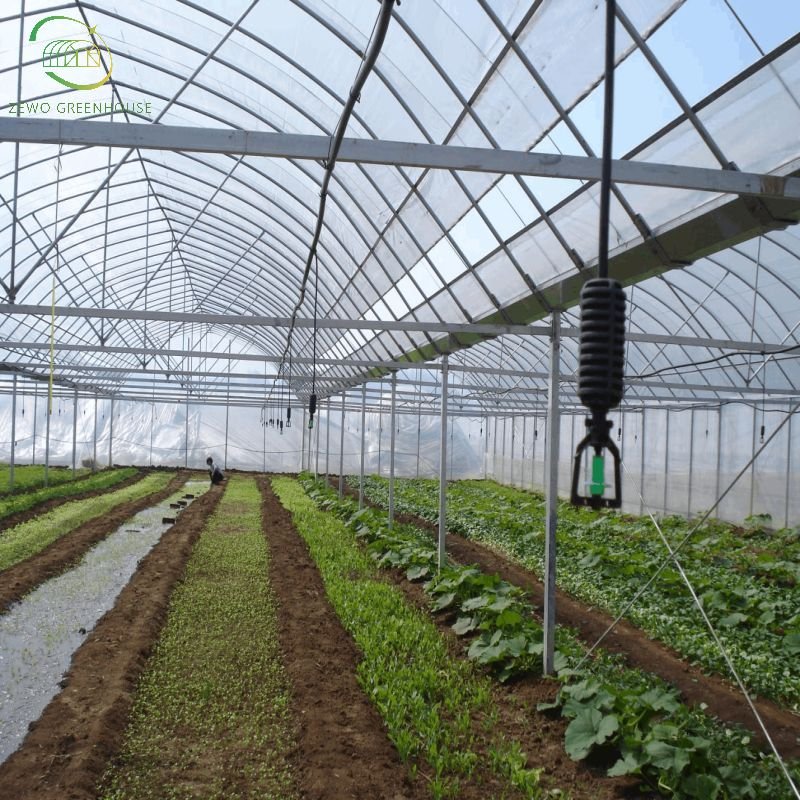 ZEWO Multi Span Plastic Film Poly Tunnel Film Greenhouses with Spray/Drip Irrigation System