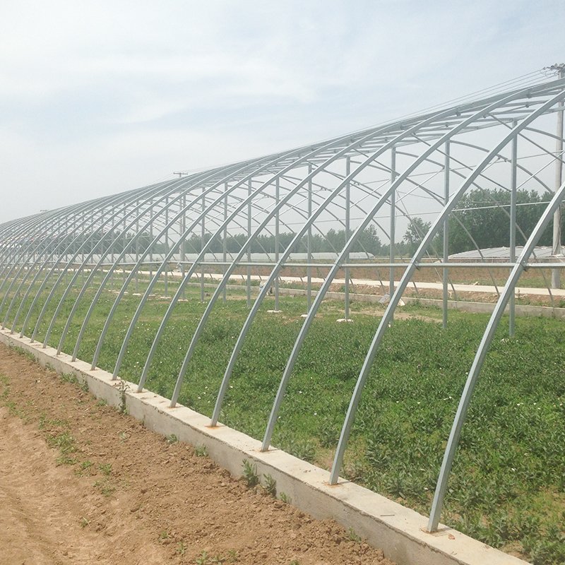 Large Size Film Plastic Shed Large Size High Tunnel Agricultural Greenhouse for Tomato Large Green within 30 Days After Payment
