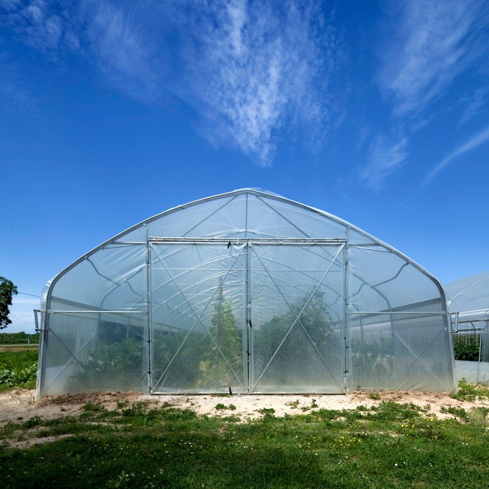 Green house tunnel greenhouse single-span plastic film hoop Double Layer Pe agricultural greenhouse for vegetables growing