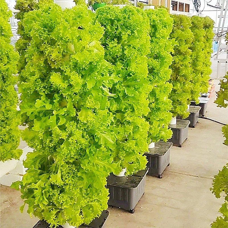 New Indoor Aeroponic Hydroponic Garden System Vertical Pineapple Tower Greenhouse Durable Plastic New Agricultural Greenhouse