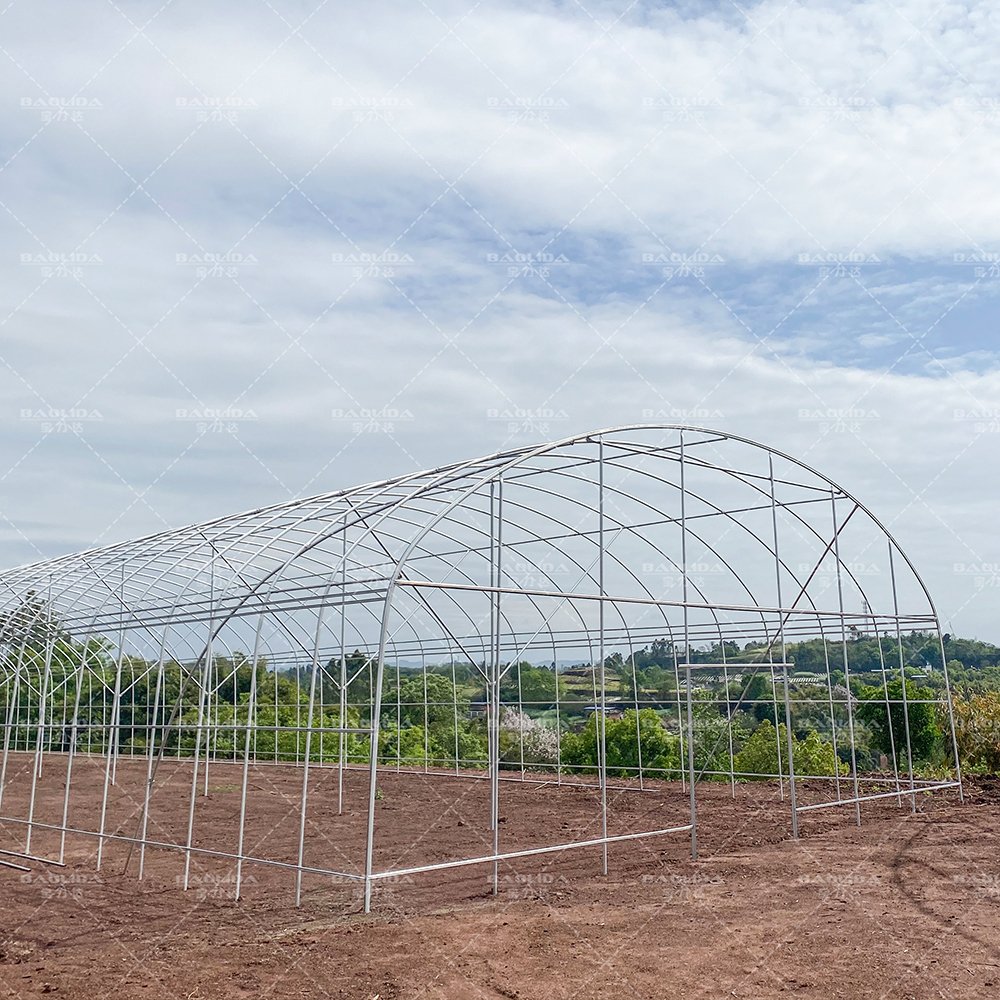Baolida Cheap Single span Poly Tunnel Agriculture Vegetable High Tunnel Commercial Green House Greenhouse Made In China