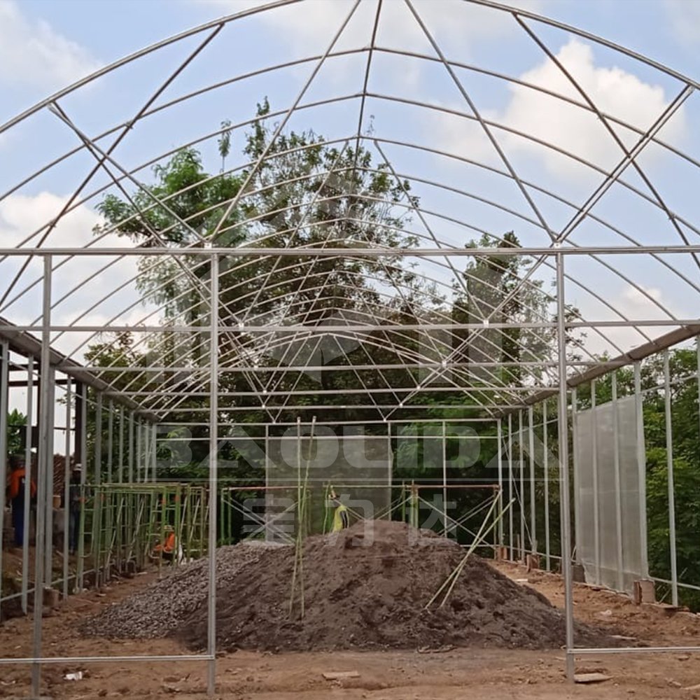 Baolida Cheap Single span Poly Tunnel Agriculture Vegetable High Tunnel Commercial Green House Greenhouse Made In China