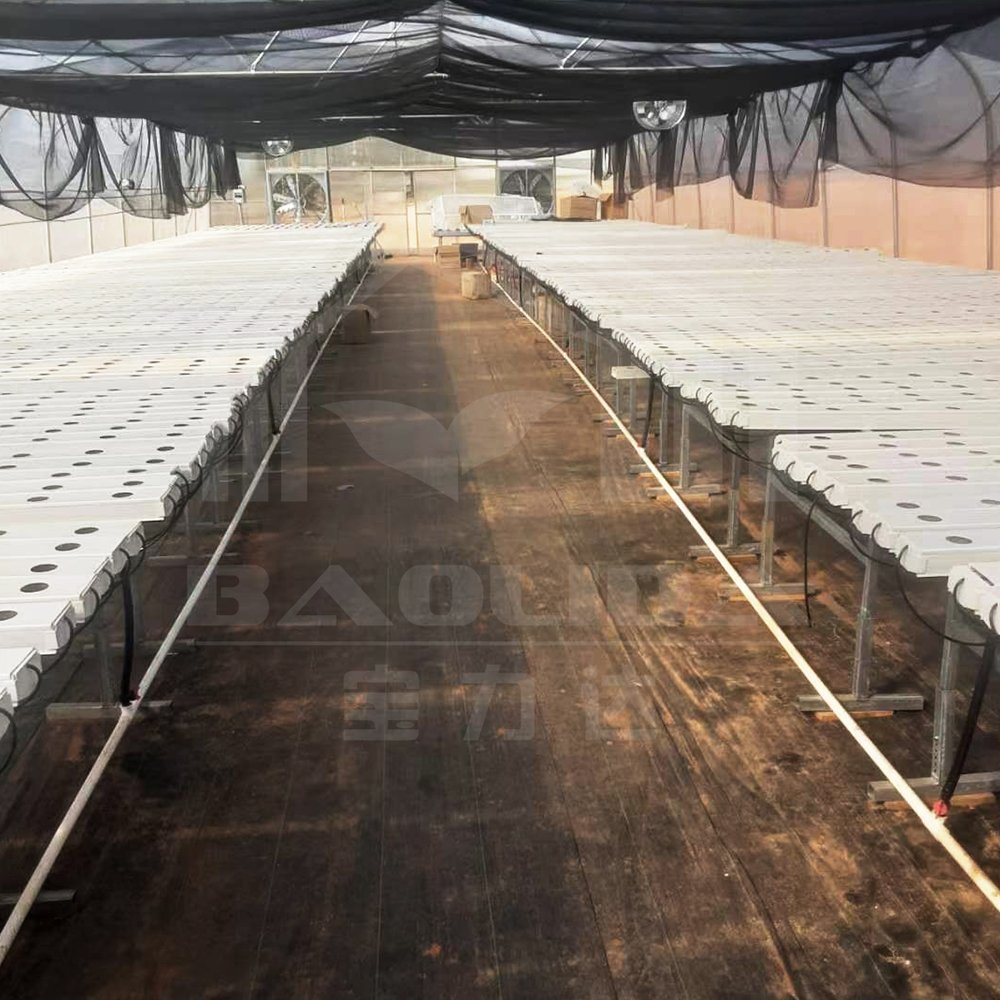 Baolida Cheap Single span Poly Tunnel Agriculture Vegetable High Tunnel Commercial Green House Greenhouse Made In China