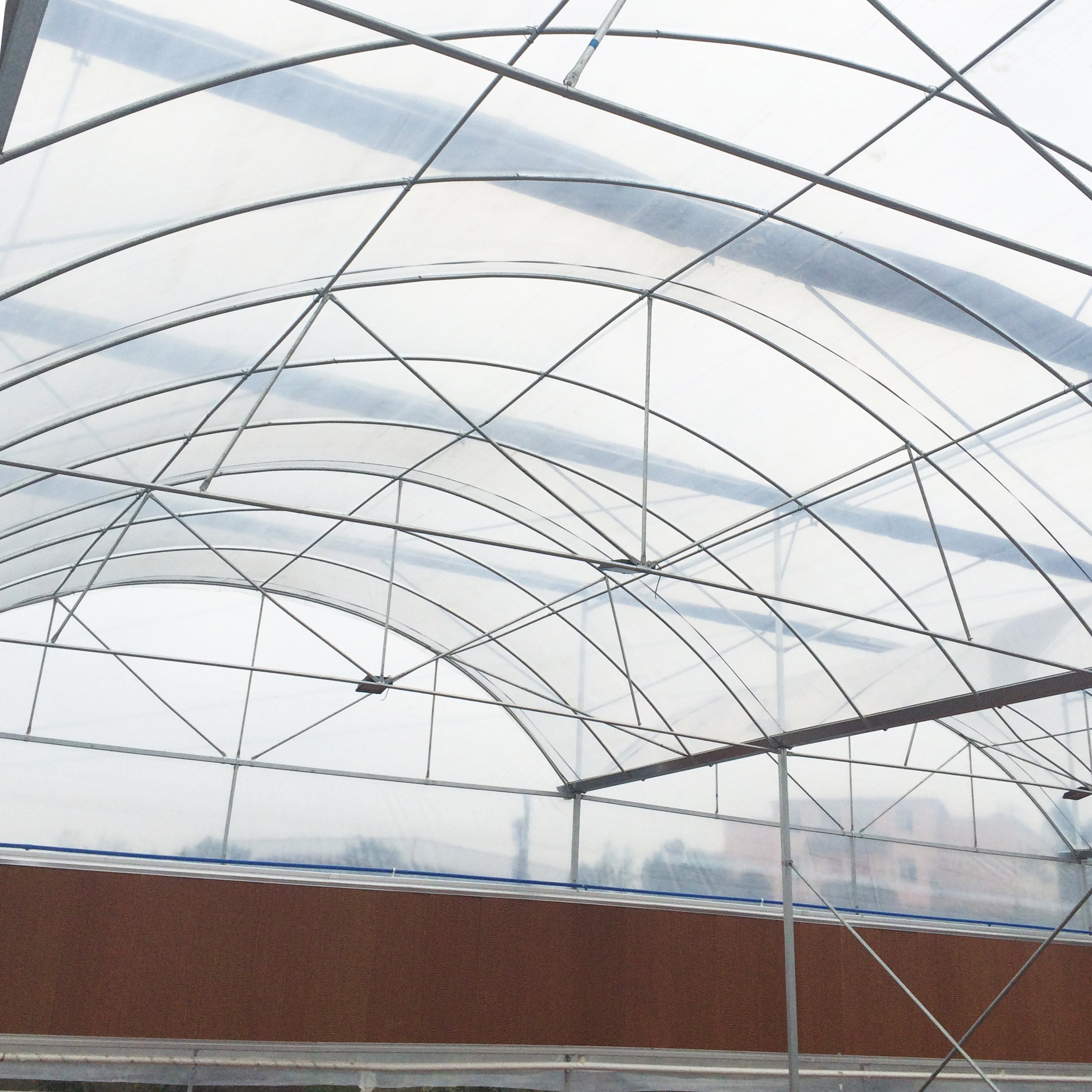 MAXPOWER Durable Agricultural Greenhouse Plastic Film Greenhouse PE PO Film Customized Size Blown Film