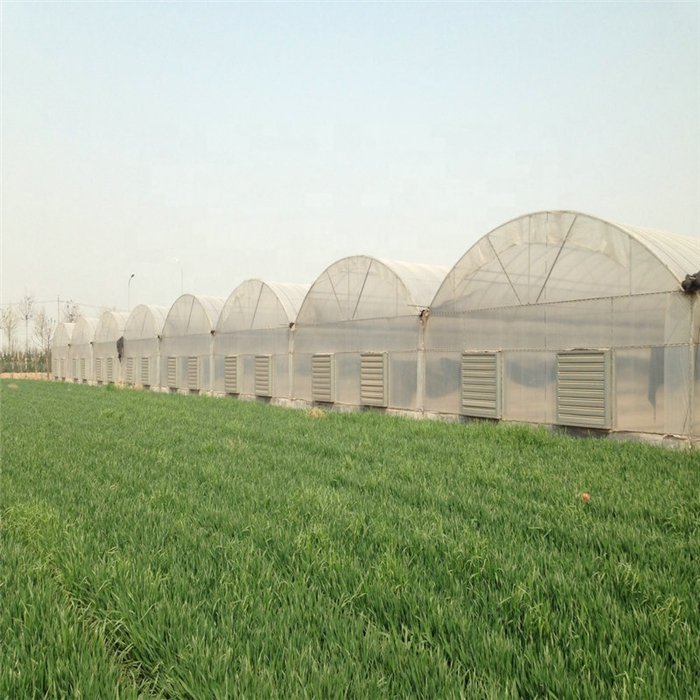indoor agricultural greenhouse plastic sheet film tunnel greenhouse film fastening