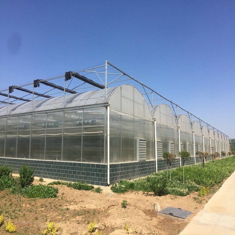 indoor agricultural greenhouse plastic sheet film tunnel greenhouse film fastening