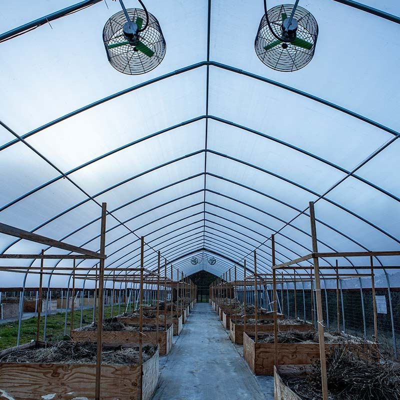Manufacturer Agriculture Plastic Film Cover Rain Shelter Greenhouse