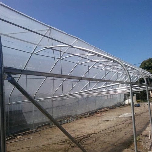 Commercial greenhouse kits Single-span vegetable seeding agricultural frame plastic film tunnel strawberry greenhouse for sale