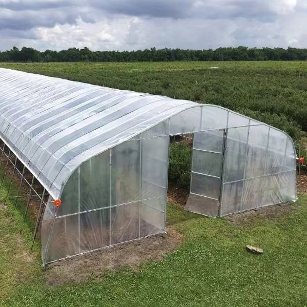 Customized Multi-Span Arch Type PE/Po Plastic Film Agricultural Green House with Hydroponics System for Tomato/Cucumber/Lettuce