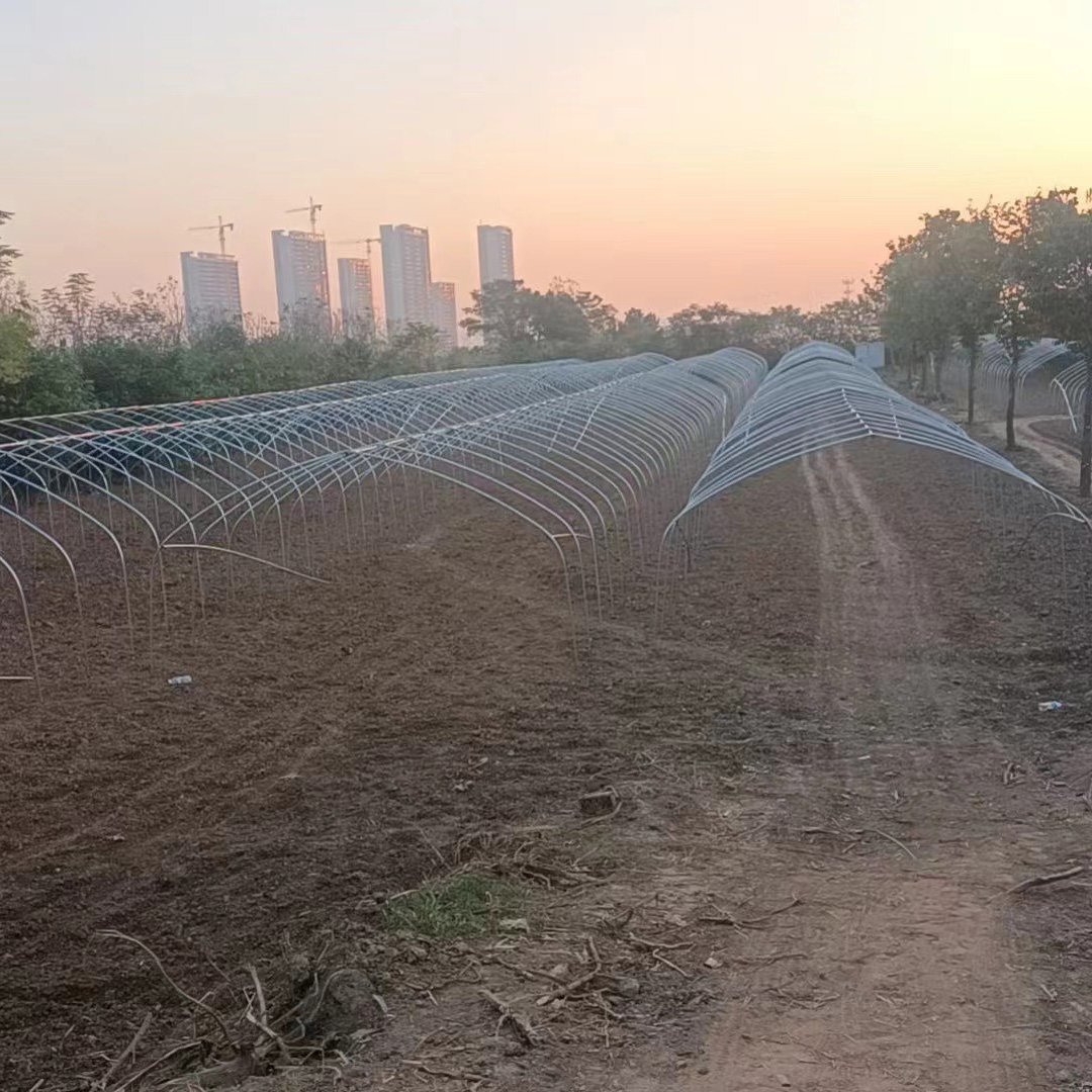 Customized Multi-Span Arch Type PE/Po Plastic Film Agricultural Green House with Hydroponics System for Tomato/Cucumber/Lettuce
