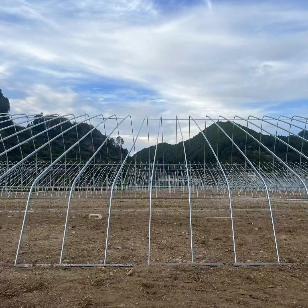 Customized Multi-Span Arch Type PE/Po Plastic Film Agricultural Green House with Hydroponics System for Tomato/Cucumber/Lettuce