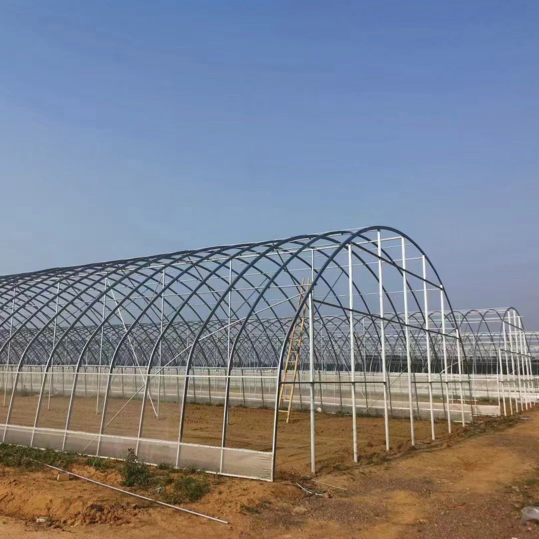 Customized Multi-Span Arch Type PE/Po Plastic Film Agricultural Green House with Hydroponics System for Tomato/Cucumber/Lettuce