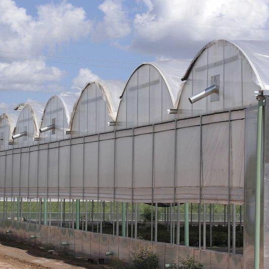 Durable galvanized steel structure multi-span greenhouse hot sale agricultural greenhouse large scale growing system greenhouse