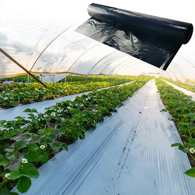 Agricultural Black Plastic Mulching Film Garden Weeds Control Film 25mic Thickness Strawberry Tomato Plant Cover Mulch