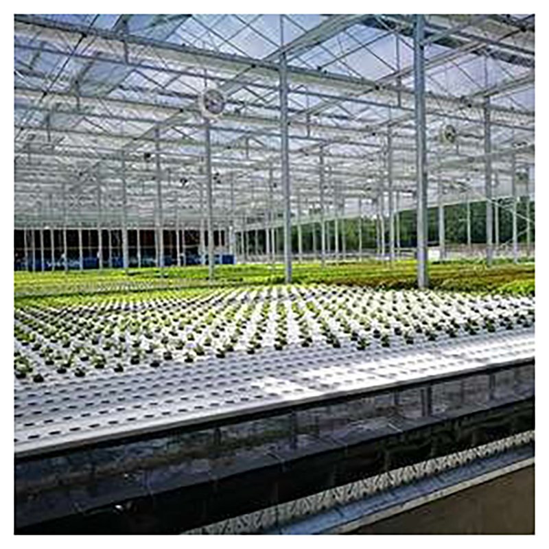 Multi-span Glass Greenhouse With Hydroponic System For Vegetable Farming
