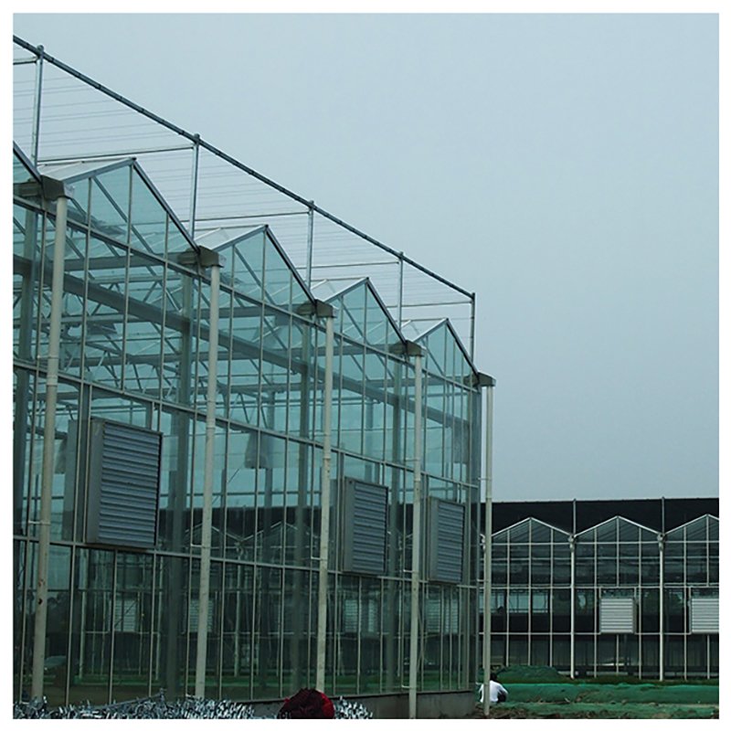 Multi-span Glass Greenhouse With Hydroponic System For Vegetable Farming