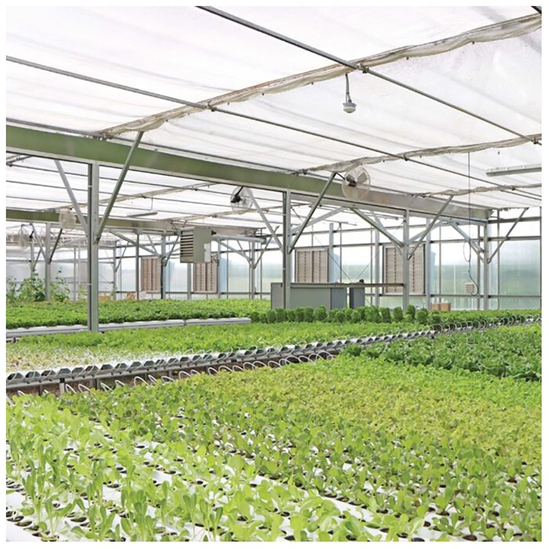 Multi-span Glass Greenhouse With Hydroponic System For Vegetable Farming