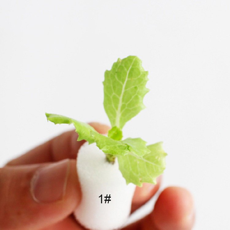 Custom Size Farm Aquaponics System Greenhouse Plant Strawberry Hydroponic Seeding Plant Sponge